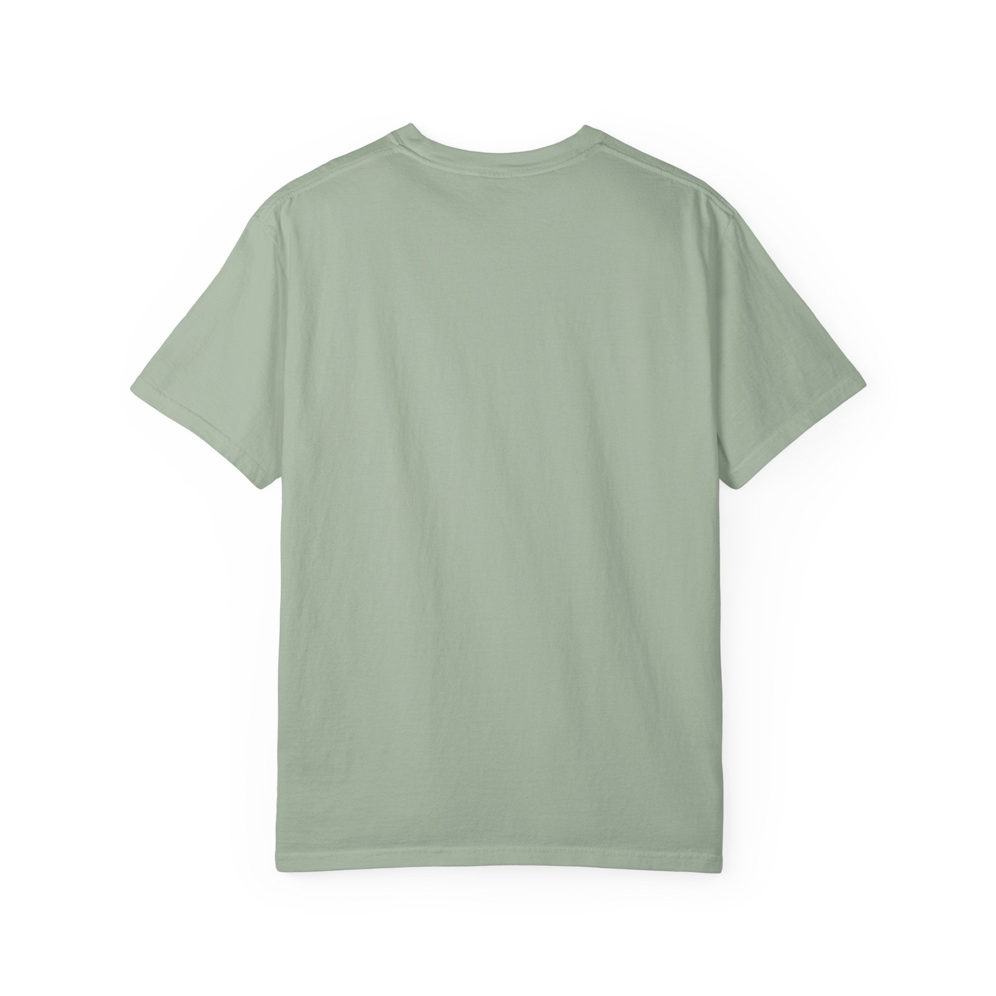 Pirate Dreamer T-Shirt — Book Lover's Nautical Tee