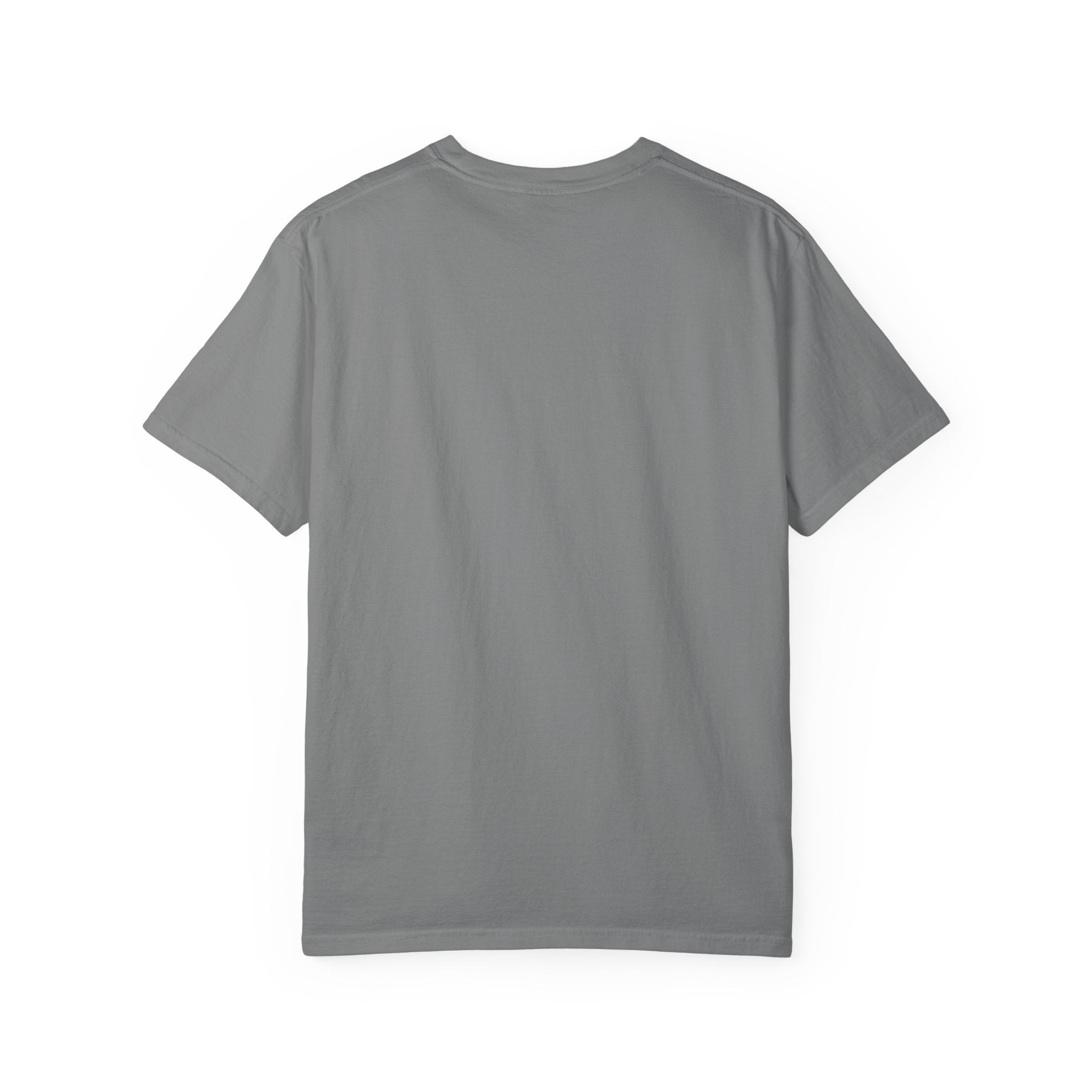 Pirate Dreamer T-Shirt — Book Lover's Nautical Tee